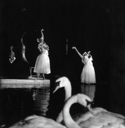 Xavier Olivé i Joan Brossa. Sopar itinerant, 1982. © Manel Esclusa, VEGAP, Barcelona, 2025