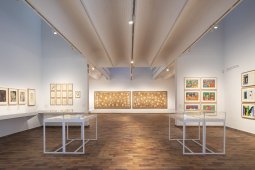 Sales de l'exposició Miró Matisse, més enllà de les imatges comissariada per Rémi Labrusse. © Fundació Joan Miró. Fotos: Davide Camesasca