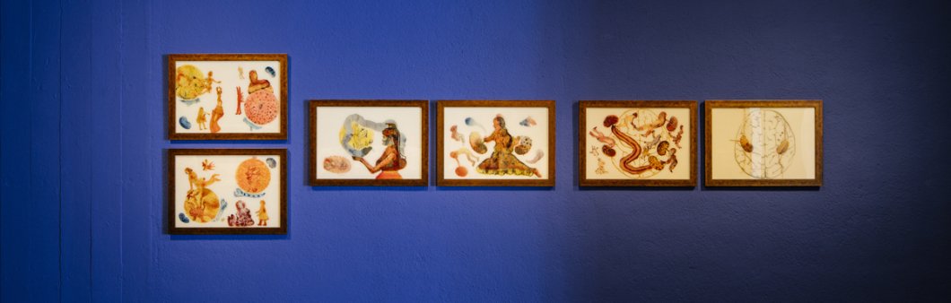 Nalini Malani, Escoltar les ombres, 2007&nbsp;© Fundació Joan Miró. Foto: Tanit Plana
